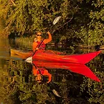 Fairy Tales On The Forest